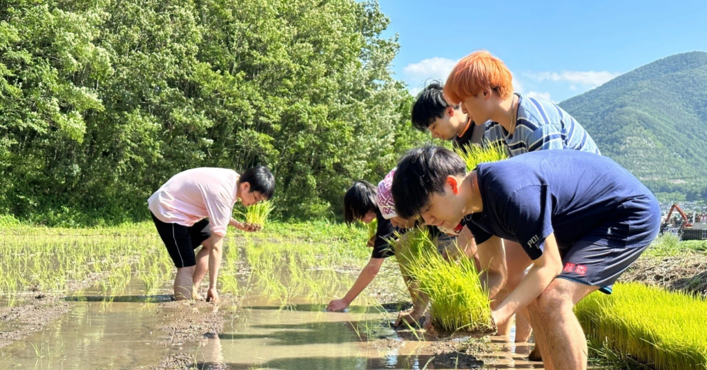 2023年 田植え